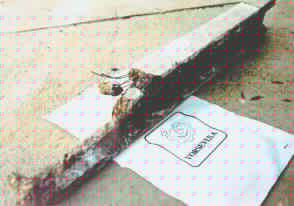 Fotografia 5