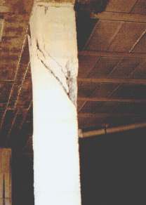 Fotografia 4