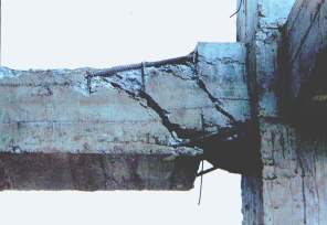 Fotografia 5